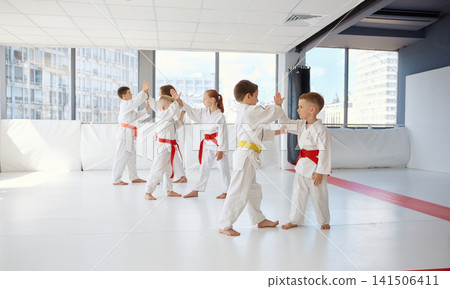 Children practicing martial art in a bright studio Children practicing martial art in a bright studio 141506411