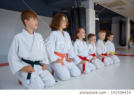 Children are kneeling respectfully in calm dojo setting with focused expressions 141506414