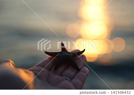Close-Up of Starfish on Hand at Sunset by Ocean Close-Up of Starfish on Hand at Sunset by Ocean 141506432