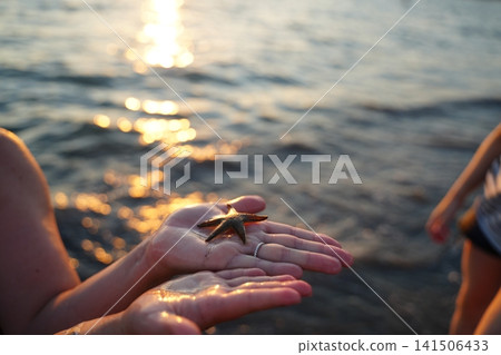 Hands Holding Starfish by the Seashore at Sunset Hands Holding Starfish by the Seashore at Sunset 141506433