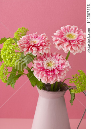 A vibrant arrangement of gerberas and greenery in a pink vase. A vibrant arrangement of gerberas and greenery in a pink vase. 141507258