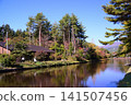 Autumn in Karuizawa - Mikage Waterway 141507456