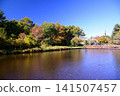 Autumn in Karuizawa - Mikage Waterway 141507457