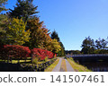 Autumn in Karuizawa - Mikage Waterway 141507461