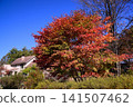 Autumn in Karuizawa - Mikage Waterway 141507462