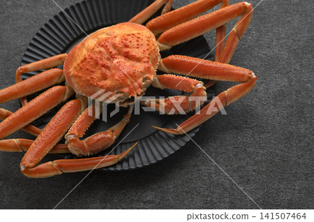 A luxurious boiled snow crab served on a black plate. 141507464