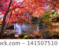 Autumn at Erinji Temple in Koshu 141507510