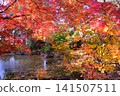 Autumn at Erinji Temple in Koshu 141507511