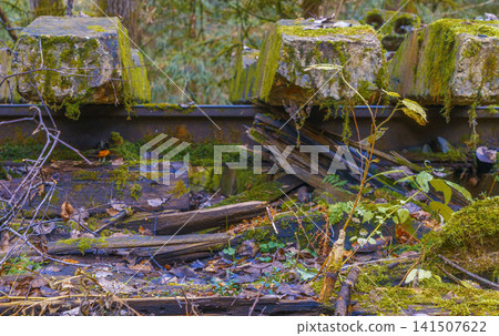 Deteriorated timber and stone remnants enveloped by moss and leaf litter in moist woodland environment Deteriorated timber and stone remnants enveloped by moss and leaf litter in moist woodland environment 141507622