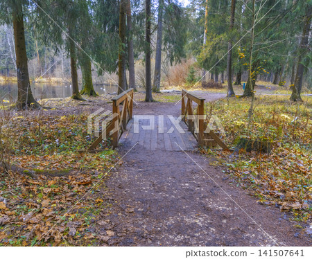 Serene forest pathway. Tranquil woodland route featuring wooden bridge and autumn foliage setting Serene forest pathway. Tranquil woodland route featuring wooden bridge and autumn foliage setting 141507641