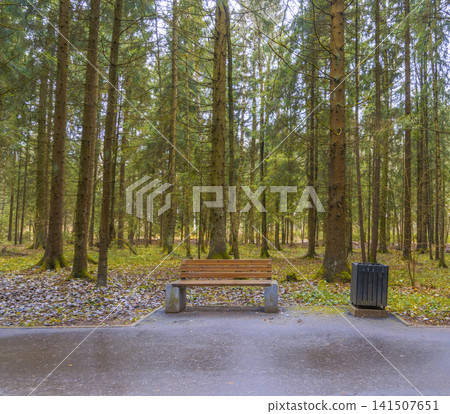 Serene resting spot along scenic walkway. Wooden seat beside trail within tranquil pine grove Serene resting spot along scenic walkway. Wooden seat beside trail within tranquil pine grove 141507651