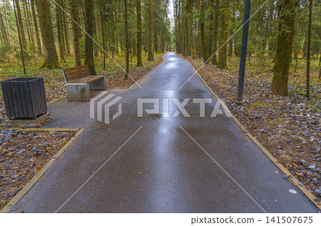 Urban pathway with autumn ambiance. Wet park walkway showcasing maintenance and seasonal background Urban pathway with autumn ambiance. Wet park walkway showcasing maintenance and seasonal background 141507675