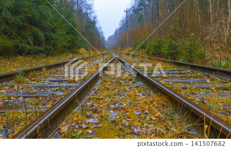 Wild plants overrun old pathways. Flora and moss dominate abandoned railway structures and pathways Wild plants overrun old pathways. Flora and moss dominate abandoned railway structures and pathways 141507682
