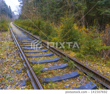 Vivid depiction of slanted railway passing through vibrant forest with scattered bushes and mosscovered edges 141507692