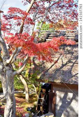 The waterwheel at Yoshikien Garden The waterwheel at Yoshikien Garden 141507763