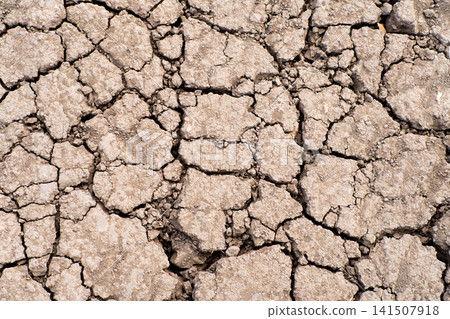 Cracked dry brown soil background, global warming effect Cracked dry brown soil background, global warming effect 141507918