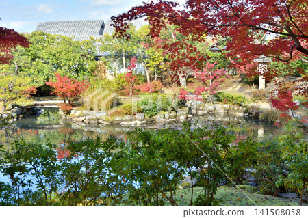 Autumn leaves of Yoshikien Autumn leaves of Yoshikien 141508058