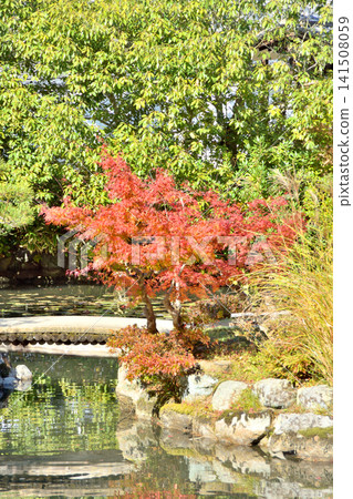 Autumn leaves of Yoshikien Autumn leaves of Yoshikien 141508059