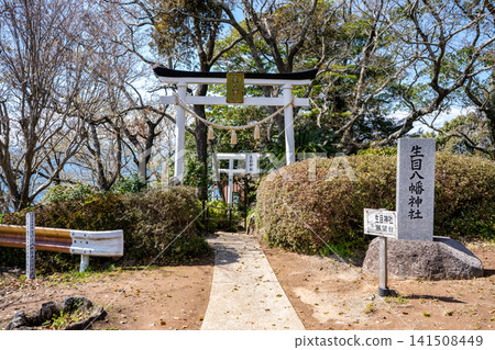 Scenery of Ikime Hachiman Shrine (Unzen City) Scenery of Ikime Hachiman Shrine (Unzen City) 141508449