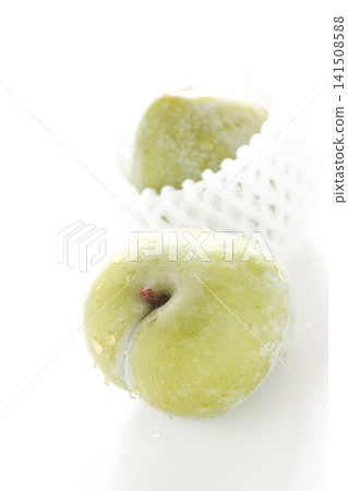Green plum Green plum 141508588
