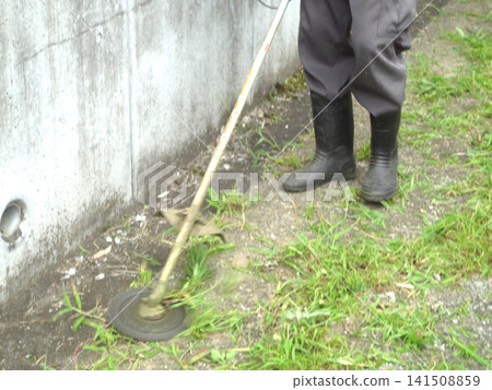 Mowing Mowing 141508859