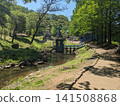 托芙楊松曙光兒童森林公園的清新綠色景色 141508868