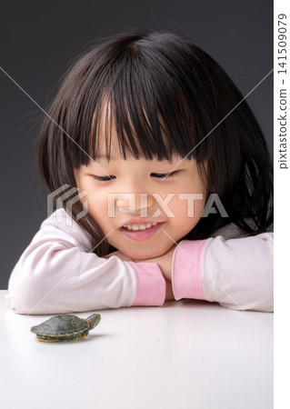Curious Asian Child Girl Watching Small Turtle on Table with Interest Curious Asian Child Girl Watching Small Turtle on Table with Interest 141509079