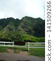 Kualoa Ranch 141509266