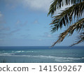 Palm trees and blue sea 141509267