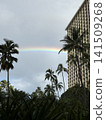 Rainbow  141509268