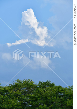 Summer blue sky and white clouds Summer blue sky and white clouds 141509525