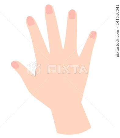 Illustration of a hand Illustration of a hand 141510041