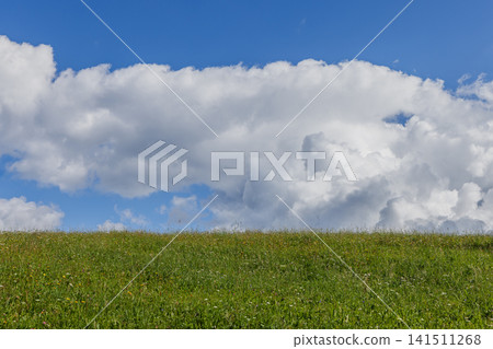 Green Alpine Meadow Horizon Under Blue Sky and Large White Cumulus Cloud 141511268