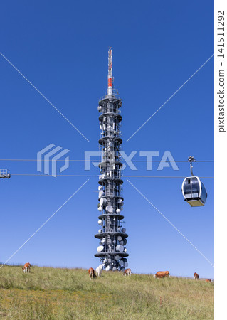 Telecommunications Tower, Gondola Cabin, and Cattle on Mountain Pasture 141511292