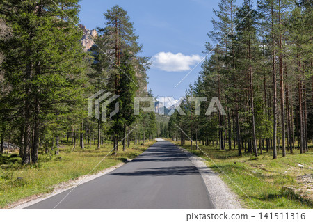 Straight forest road toward the Dolomites near San Vigilio di Marebbe in Italy Straight forest road toward the Dolomites near San Vigilio di Marebbe in Italy 141511316