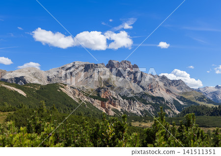 Jagged Dolomite range above pine tops and green Sennes alpine basin in South Tyrol Jagged Dolomite range above pine tops and green Sennes alpine basin in South Tyrol 141511351