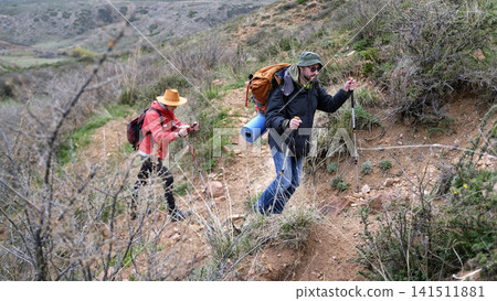 A company of two people is climbing a small mountain. Two people with backpacks and trekking poles are walking along a dirt trail 141511881