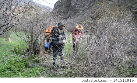 Two men are walking through the forest through a thicket of dry bushes. Friends are going camping. Trekking, hiking, adventure and tourism Two men are walking through the forest through a thicket of dry bushes. Friends are going camping. Trekking, hiking, adventure and tourism 141511919