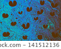 Turkish Ebru Marbling Art with Vivid Abstract Color Patterns 141512136
