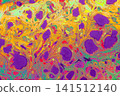 Turkish Ebru Marbling Art with Vivid Abstract Color Patterns 141512140