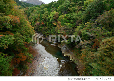 Nikko National Park: The beauty of the Kinugawa Gorge and the colorful autumn trees. Nikko National Park: The beauty of the Kinugawa Gorge and the colorful autumn trees. 141512766