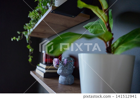 Wooden wall shelves decorated with houseplants, books, eyeglasses, and decorative accessories Wooden wall shelves decorated with houseplants, books, eyeglasses, and decorative accessories 141512941
