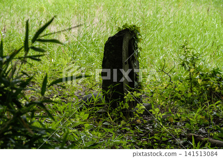 Stone statues and vines Stone statues and vines 141513084
