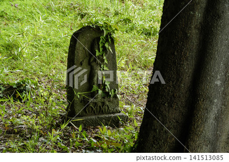 Stone statues in the sacred grove Stone statues in the sacred grove 141513085