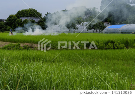 Rice field smoke Rice field smoke 141513086
