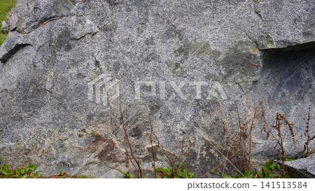 Close-up of a rough gray granite rock face showing natural weathering and subtle striations, geology concept. Close-up of a rough gray granite rock face showing natural weathering and subtle striations, geology concept. 141513584