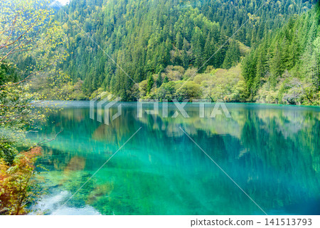 九寨溝美麗的碧綠湖泊和鬱鬱蔥蔥的青山 九寨溝美麗的碧綠湖泊和鬱鬱蔥蔥的青山 141513793