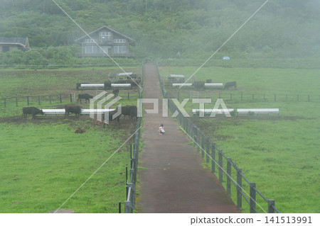 八丈島Fureai牧場 八丈島Fureai牧場 141513991