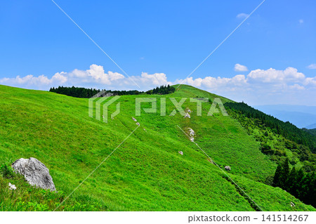 和歌山縣紀野町大石峰大石高原 和歌山縣紀野町大石峰大石高原 141514267