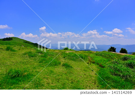 和歌山縣紀野町大石峰大石高原 和歌山縣紀野町大石峰大石高原 141514269